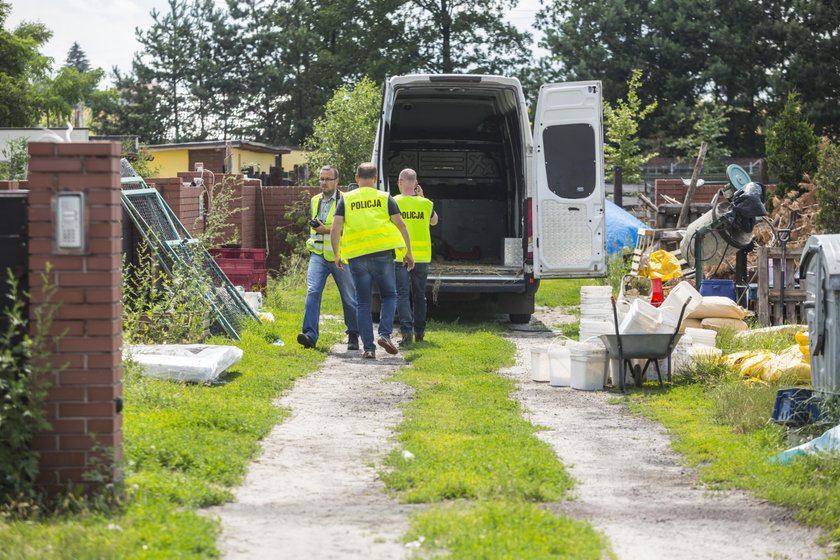 Miał w domu kilkaset zwierząt, w tym tygrysy. Wielka akcja policji pod Śremem