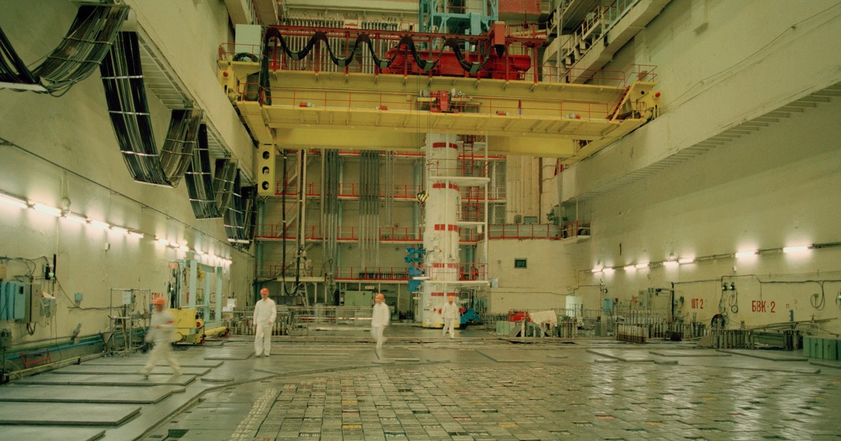 5 animal species that became radioactive after being exposed to nuclear ...