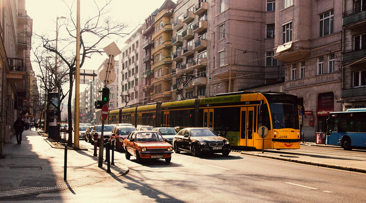 kozonsegdij VecseiKrisztina MargitKorut 2020