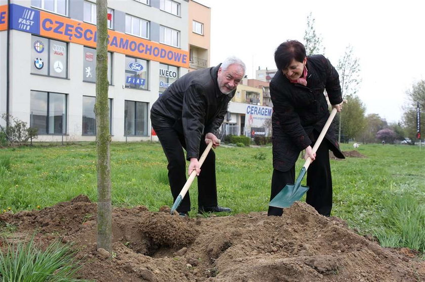 Zróbcie porządek zamiast urządzać szopki 