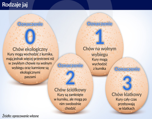 Jajka - rodzaje oznaczenie (graf. Obserwator Finansowy)