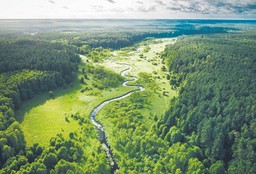 Czy bioróżnorodność pomoże, czy zaszkodzi rolnictwu