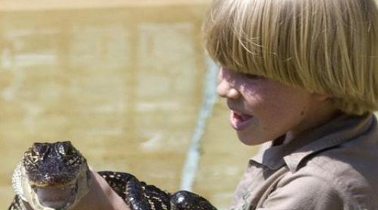 Krokodillal vagánykodott Steve Irwin kisfia