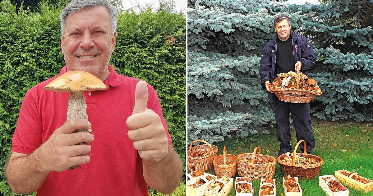 Janusz Piechociński o grzybach. "Wyniosłem 64 kg prawdziwków"