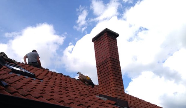 Oktobra pretprošle godine bolesna Vasilija je sletela na krov kuće u Prijepolju