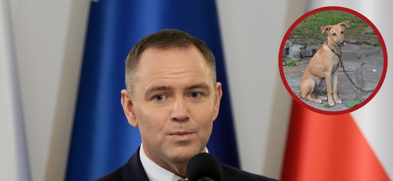 Prezydent podpisał nowelizację ustawy ws. zakazu hodowli zwierząt na futra. Jednoczesne weto ustawy łańcuchowej