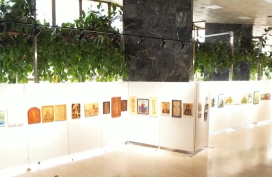 Najveći fikus na Balkanu raste u Čačku