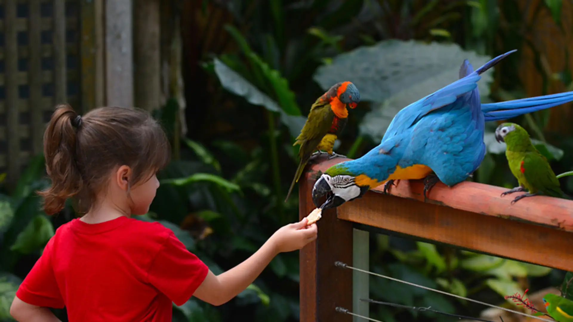 Zoo w Poznaniu ma dość nieodpowiedzialnych rodziców