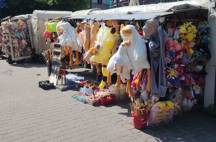 Gęsi zalały stragany w całej Polsce. Nie wierz w bajkę o Pipie z TikToka