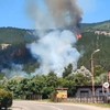 Požar u dolini Ibra