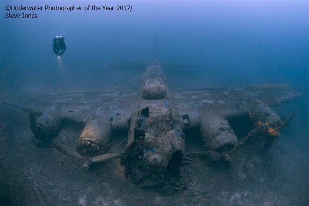 2017 Underwater Photographer of the Year