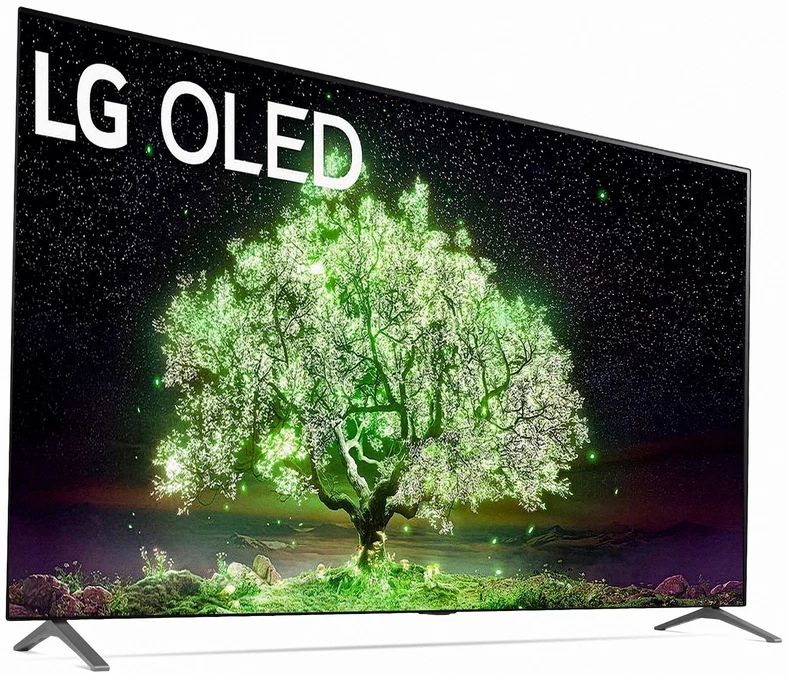 LG OLED 48A13LA