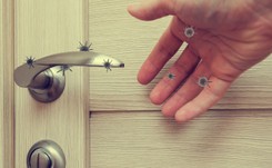 Firma ograniczy przenoszenie się koronawirusa. Opracowała uchwyty do otwierania drzwi łokciem [WIDEO]