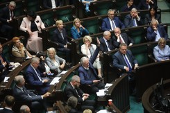Sejm uchwalił 'piątkę dla zwierząt'. Cała Solidarna Polska przeciwko