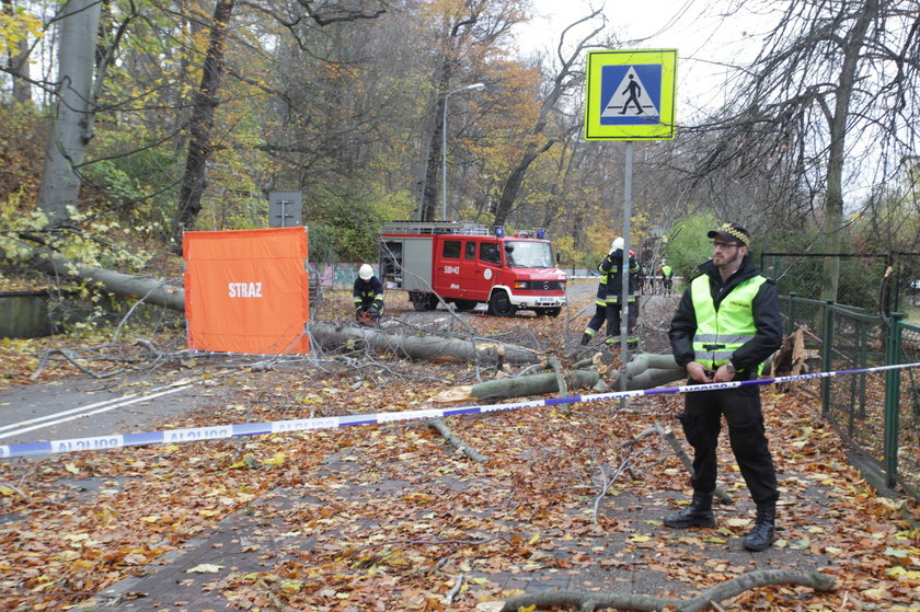 8 listopada 205 roku drzewo przygniotło panią Jolę i jej córkę