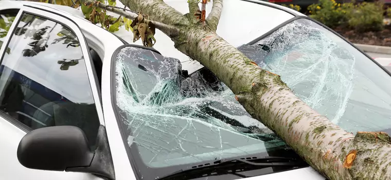 Drzewo przewrócone przez wichurę na samochód. Kto zapłaci za naprawę?