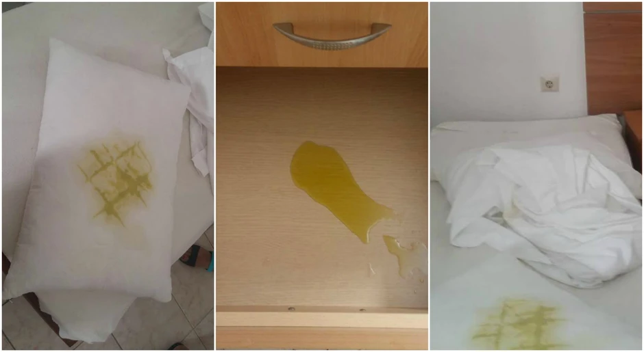 Maslinovo ulje po celom apartmanu