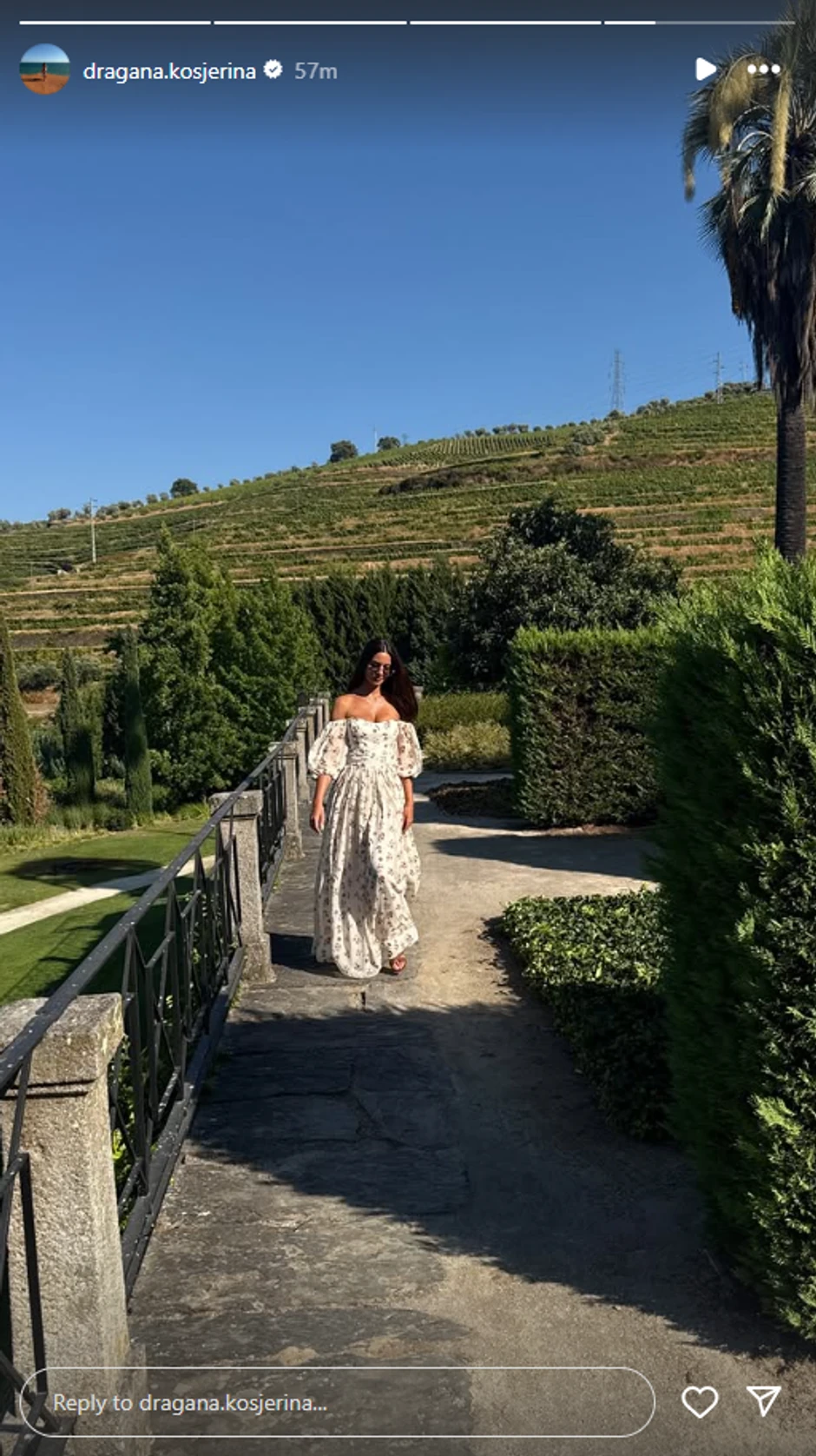 Dragana Kosjerina, objava