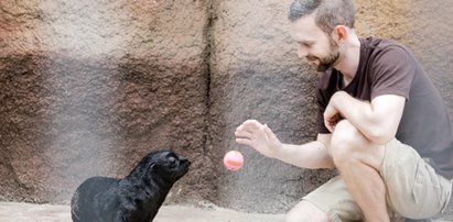 Kotiki urodziły się we wrocławskim zoo