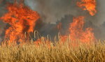 Płonie kilkadziesiąt hektarów łąk