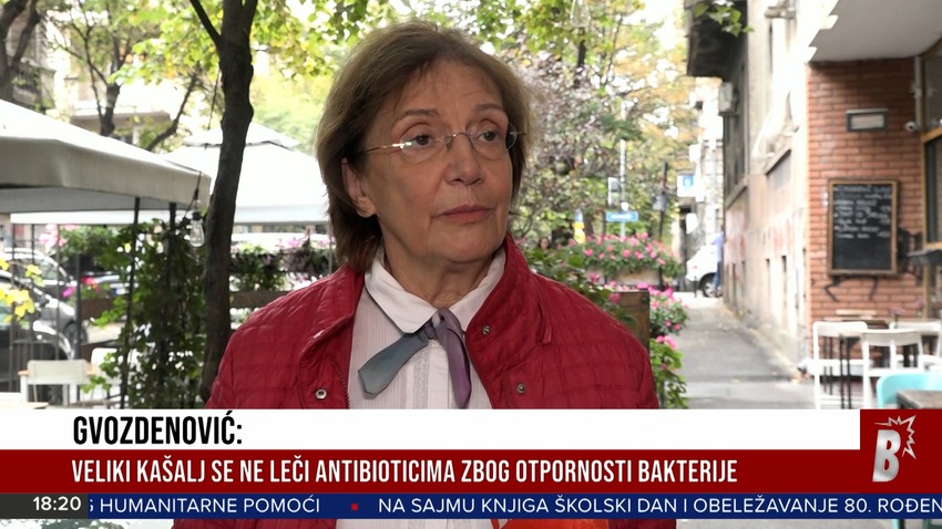 Profesorka dr Eleonora Gvozdenović