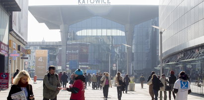 Będą szukać podstępnego zabójcy w... brzuchach