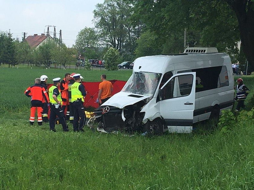 Wypdek busa na Opolszczyźnie. 11 osób rannych 