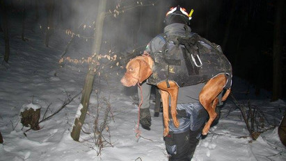 Megmentették Eszter kutyáját, önkéntesnek állt