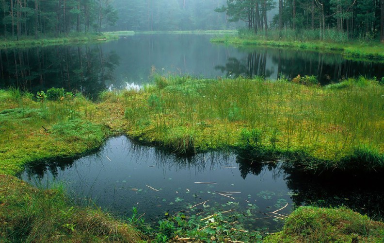 Najpiękniejsze krajobrazy Polski