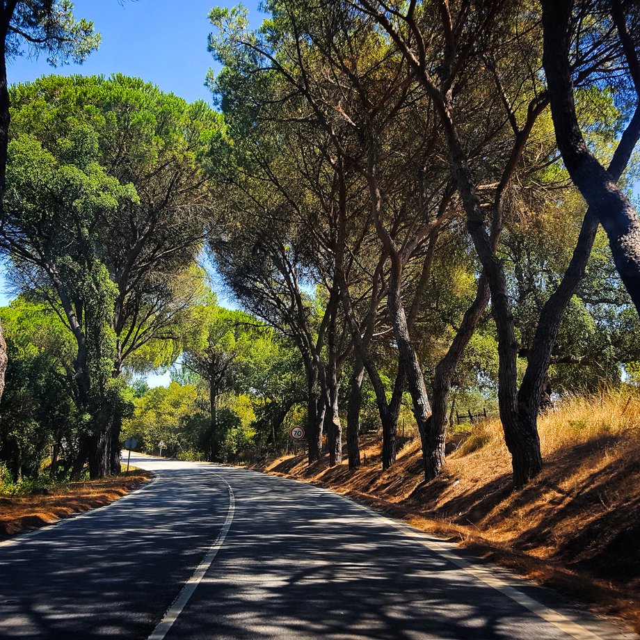 Alentejo