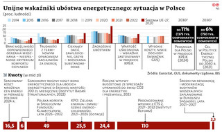 Unijne wskaźniki ubóstwa energetycznego: sytuacja w Polsce