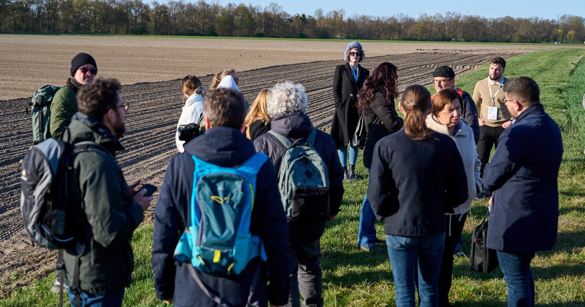 Wyróżnienia dla trzech wrocławskich inicjatyw! To dobre praktyki