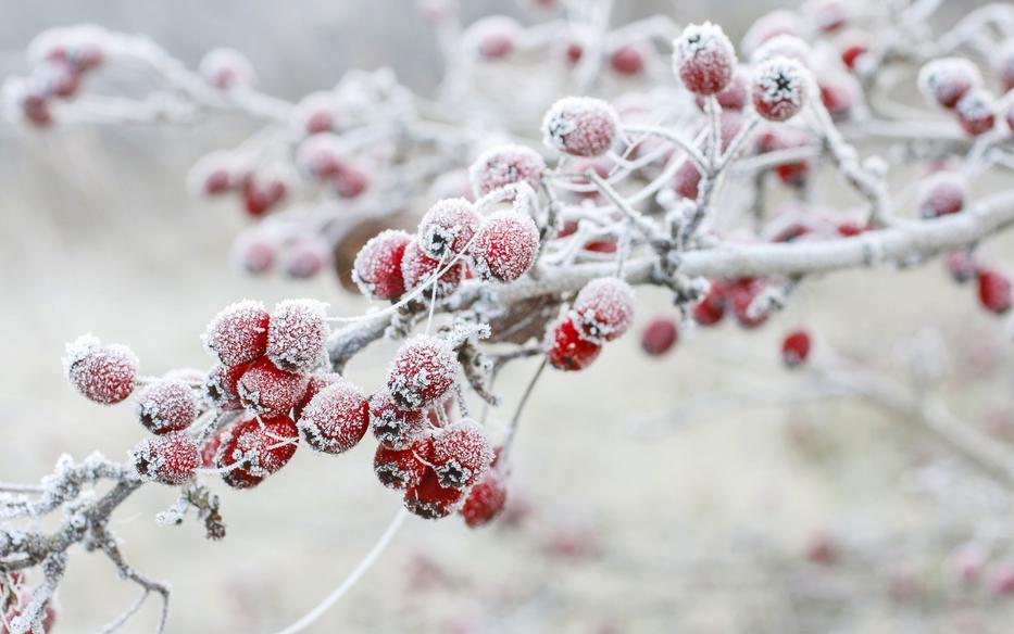 Időjárás: Meleg idő várható a héten, a hétvégére újra nyár lesz - fotó: Shutterstock