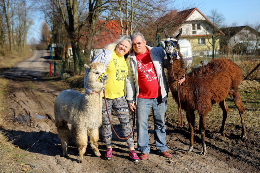 Niezwykłe gospodarstwo agroturystyczne na Kaszubach