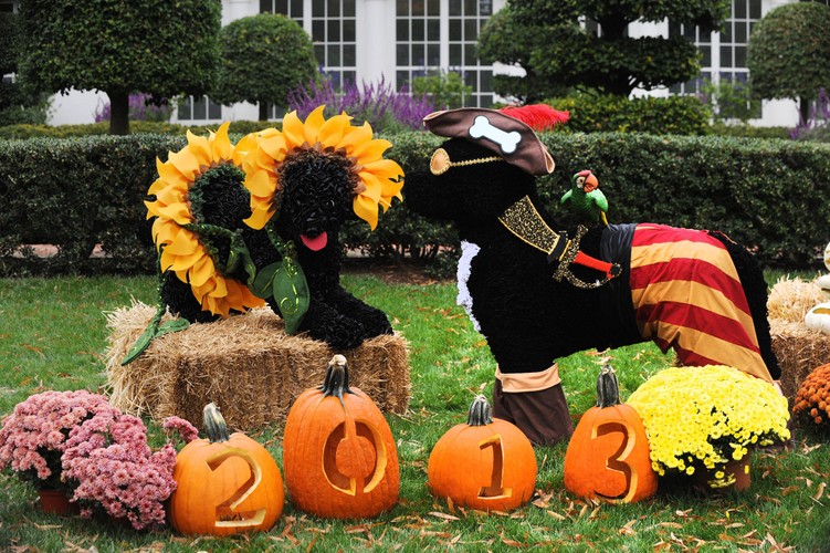 Halloween w Białym Domu