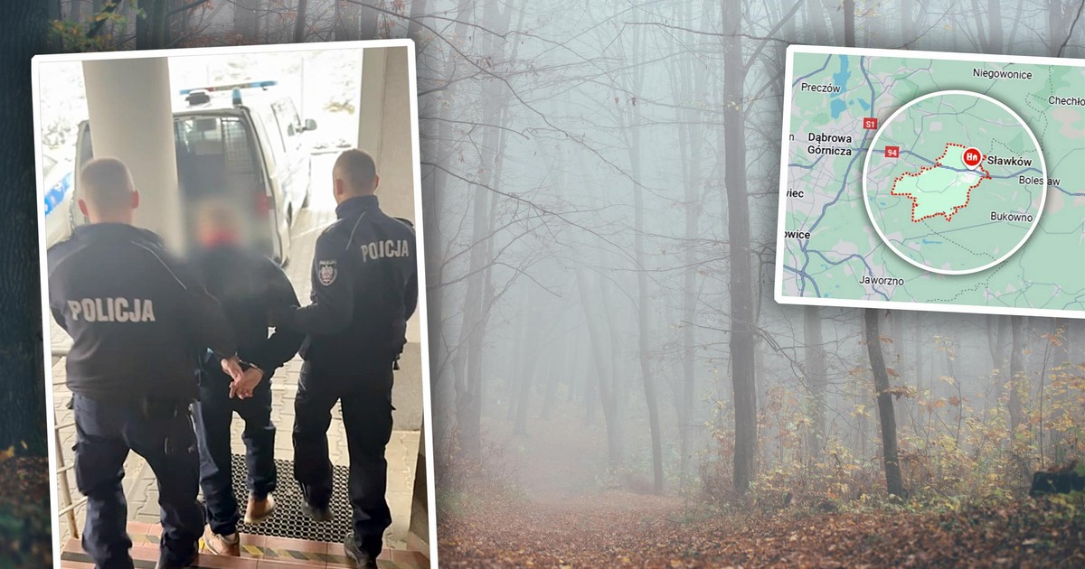 Polował na ofiarę w autobusie. Potem zaciągnął do lasu i zrobił coś potwornego