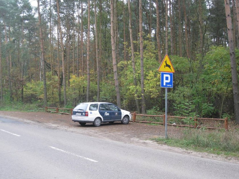 Strażnicy ruszają w teren