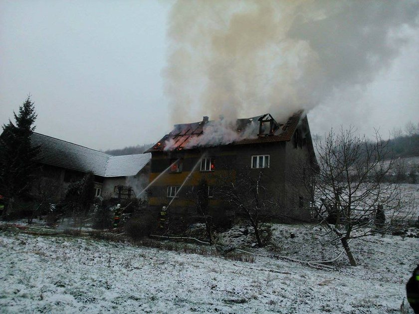 Ogień strawił wszystko