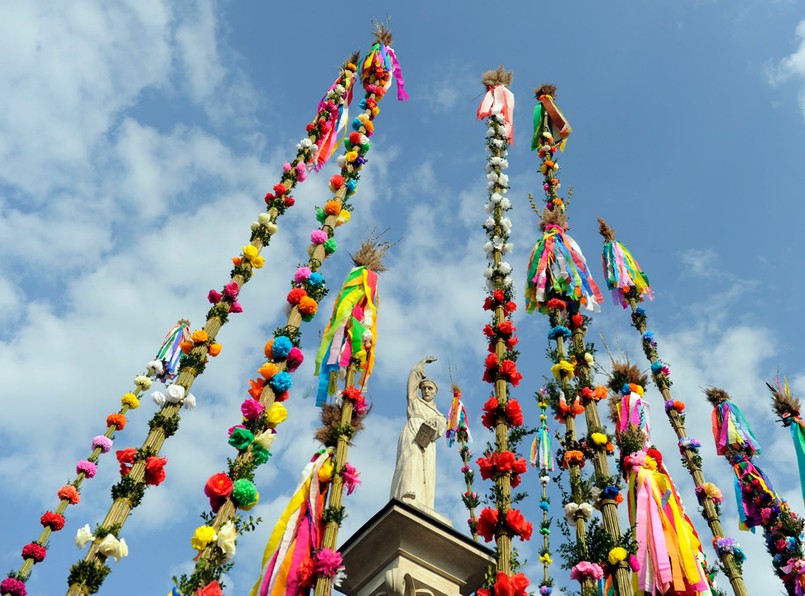 Padł nowy rekord w dorocznym konkursie na najwyższą palmę
