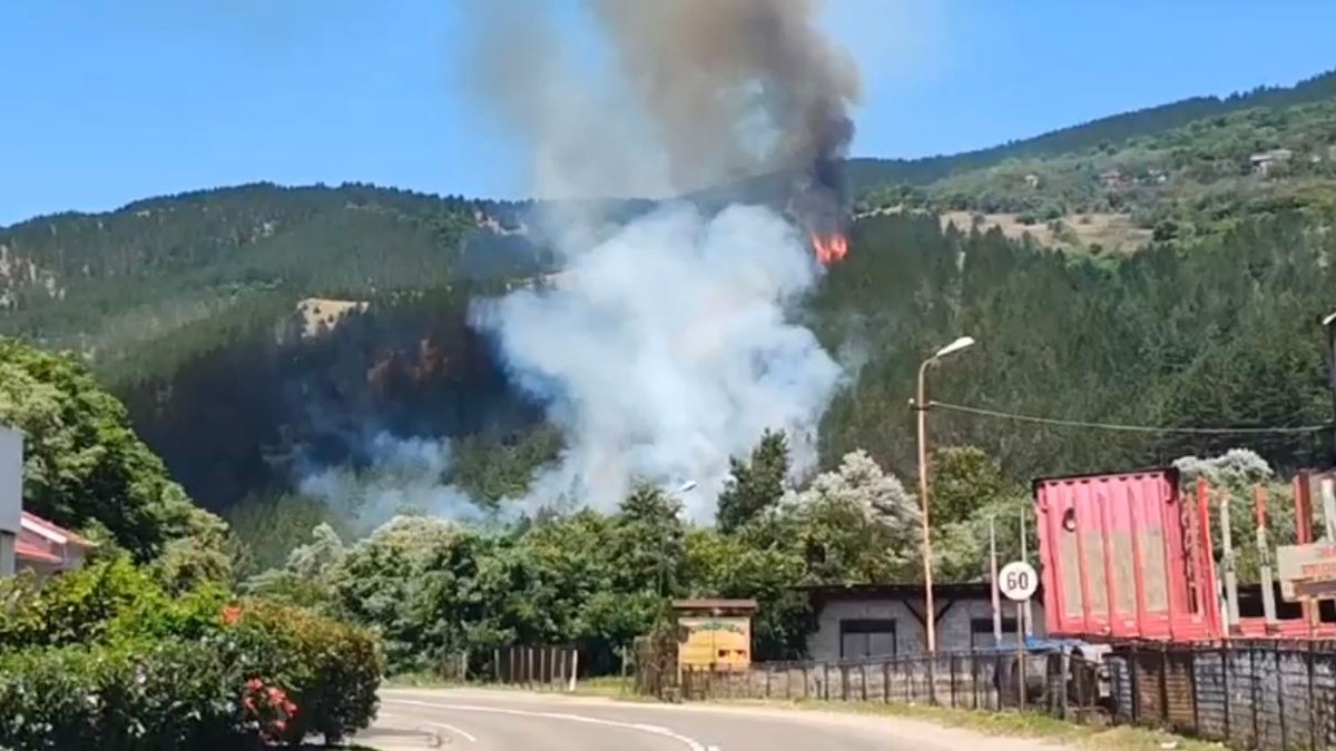 Požar u dolini Ibra