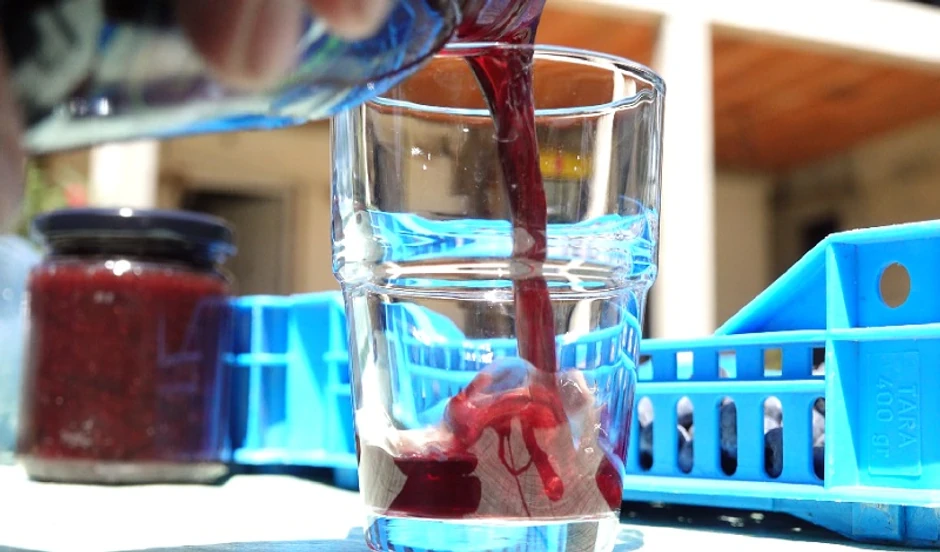 Od borvnica Lilja pravi domaći sok i pekmez bez šećera