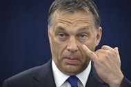 Viktor Orban