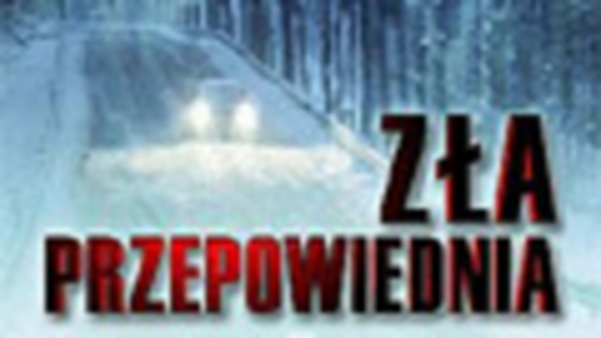 Kasjer miał około osiemnastu lat. Miał też duży, łosiowaty nos, lśniące czarne kręcone włosy i mnóstwo czerwonych piegów na twarzy. W ustach trzymał żółto-niebieski długopis reklamowy stacji.