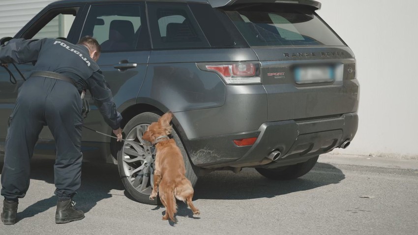 Policijska akcija obučen pas korišćen u akciji