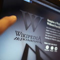 Wikimedia Polska: To był doskonały rok dla polskiej Wikipedii. Przybyło 50 tys. nowych artykułów po polsku'