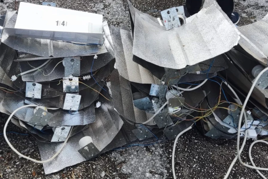 laboratorija-marihuana Han Pijesak