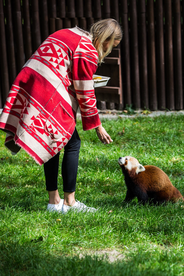 Agnieszka Woźniak-Starak w poznańskim ZOO