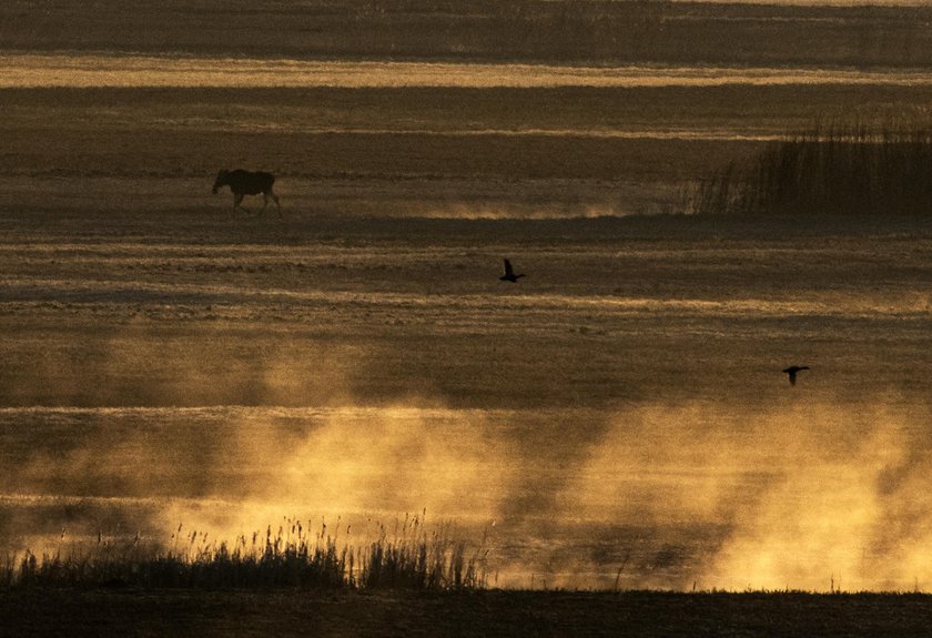 Kolejny dzień walki o Biebrzę. Dramatyczne zdjęcia