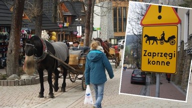 Konie na Krupówkach to śmiertelne zagrożenie dla ludzi. "Już na dzikim zachodzie było bezpieczniej"