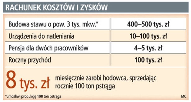Rachunek kosztów i zysków